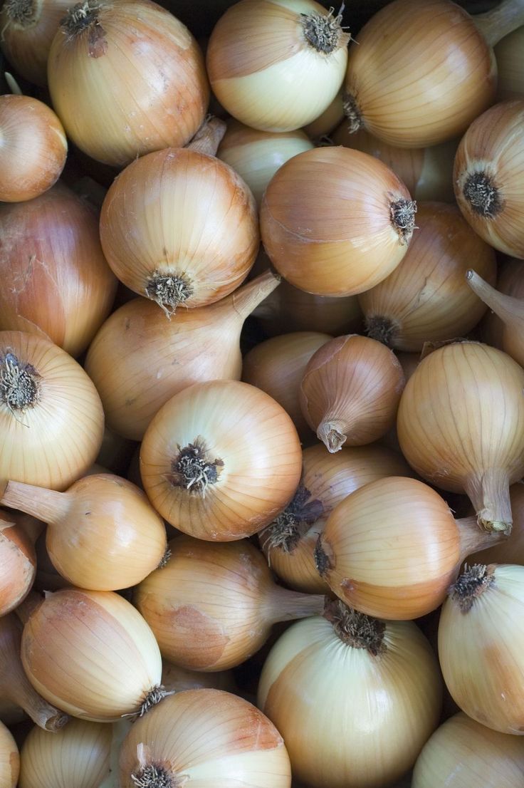 White Onion